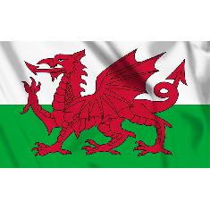 JDH - Vlag Wales